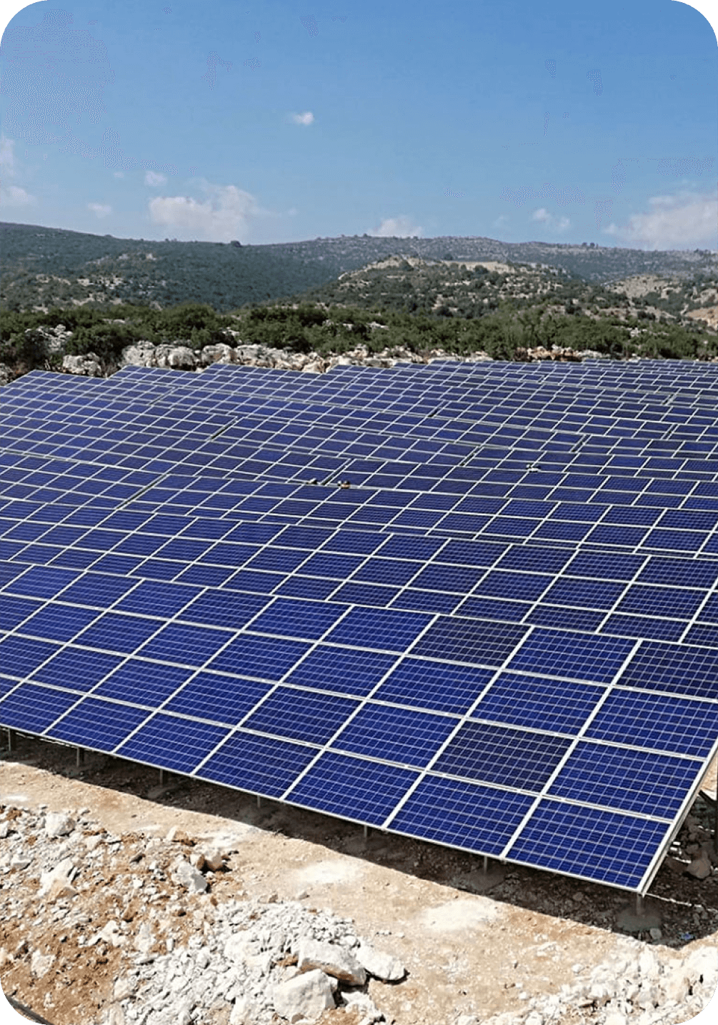 Hello, nice to meet you!